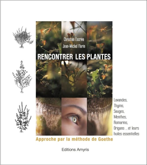 Rencontrer les plantes