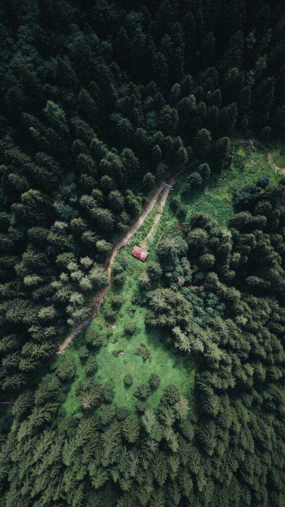 Soins des lieux Messagère