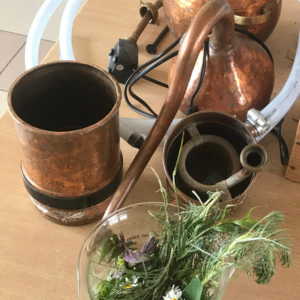 Atelier Distillation de plantes avec Carole et Alexia