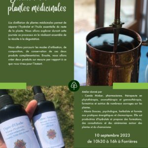 Atelier distillation avec Carole