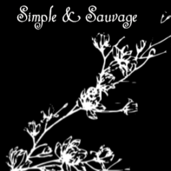 logo simple et sauvage